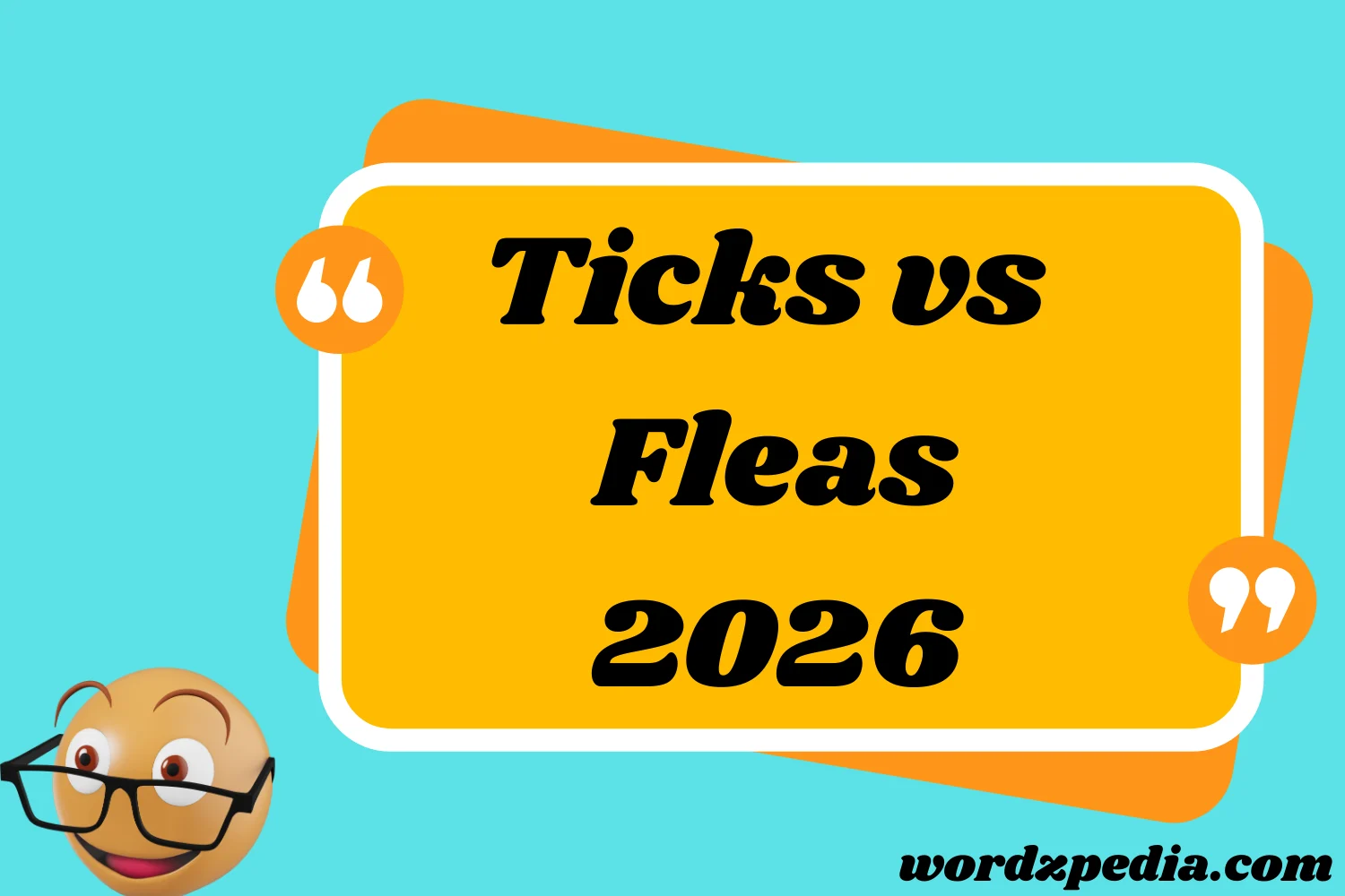 Ticks vs Fleas