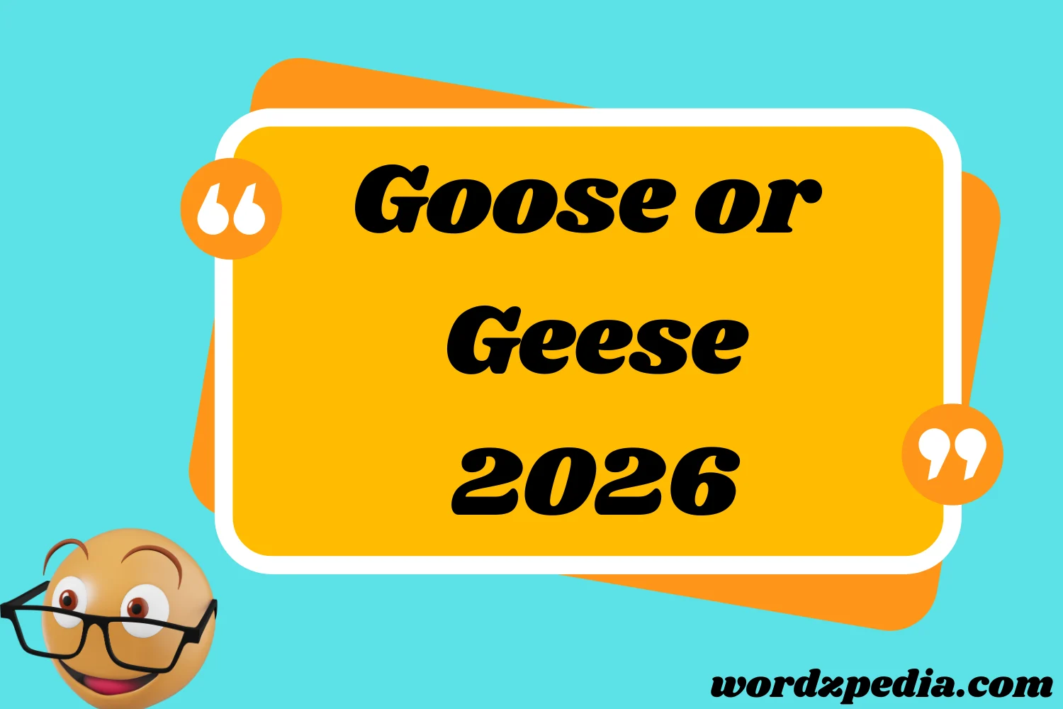 Goose or Geese