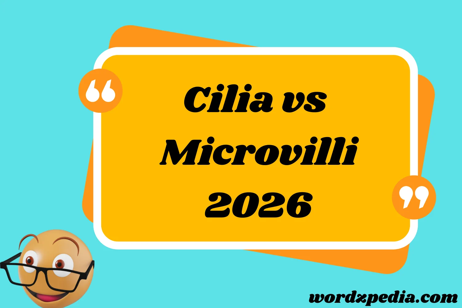 Cilia vs Microvilli